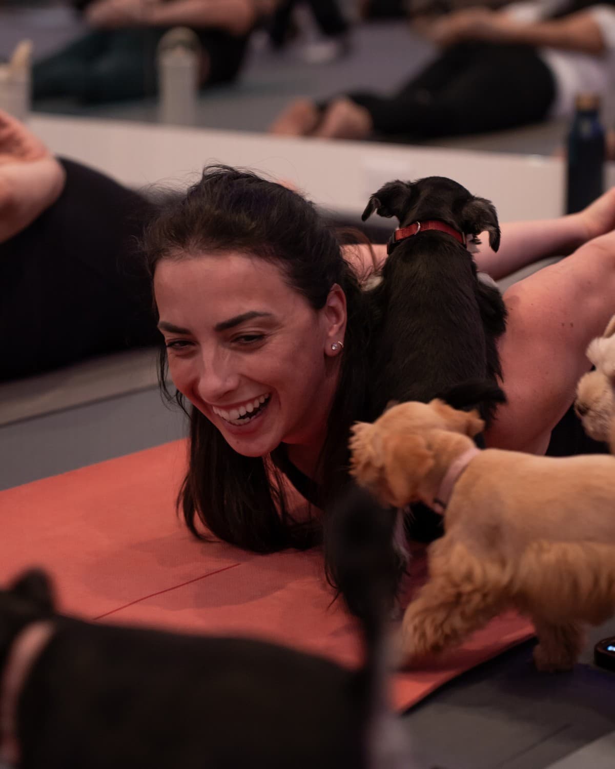 A student laughing on her mat while puppies climb over her during a class in Langley