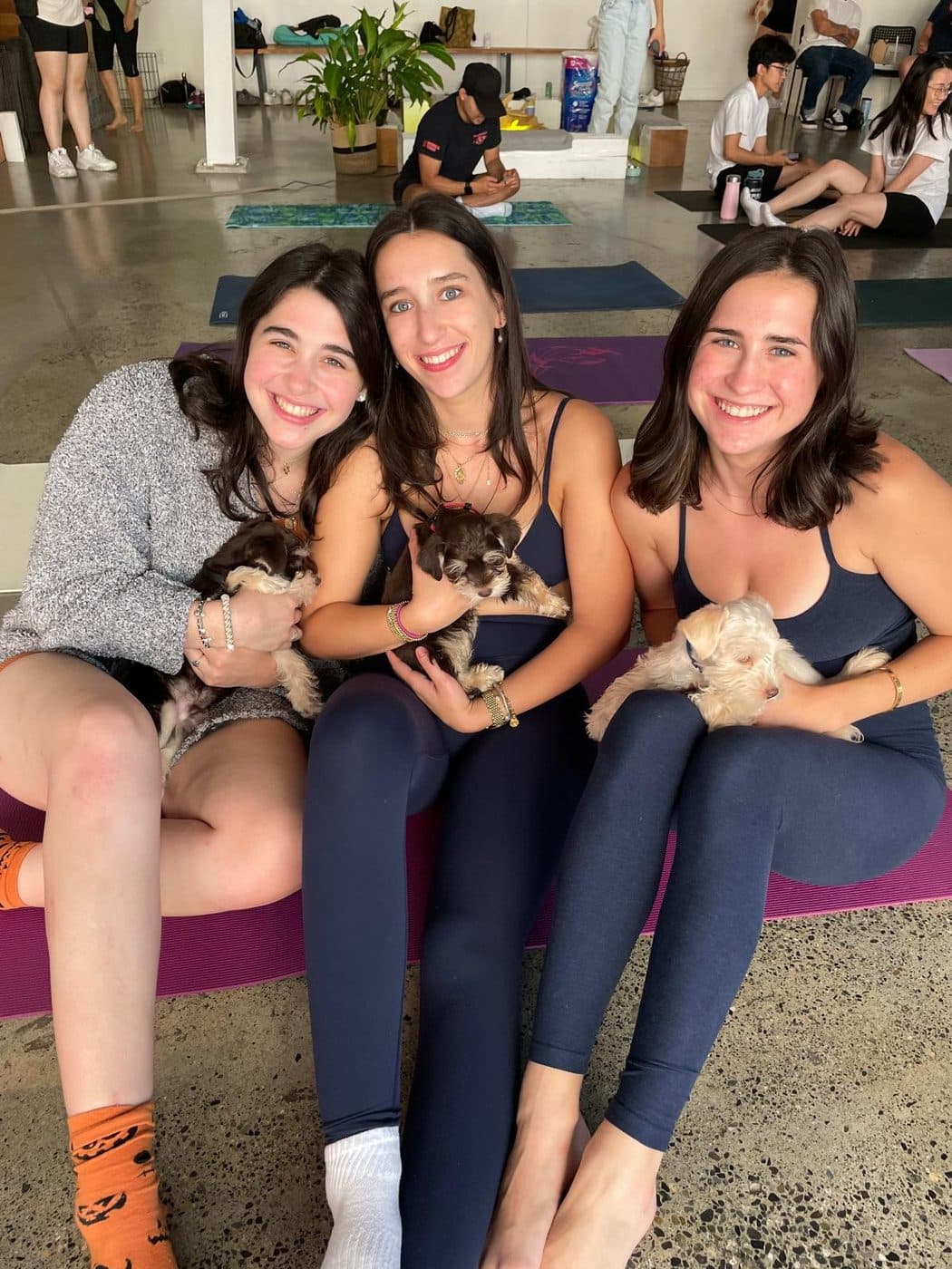 Three students sitting on yoga mats holding Schnauzer puppies during a Puppy Yoga class in Langley