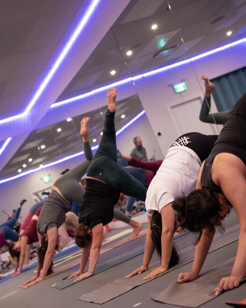 A Puppy Yoga class mid-flow in downward dog while puppies move between the mats in Langley